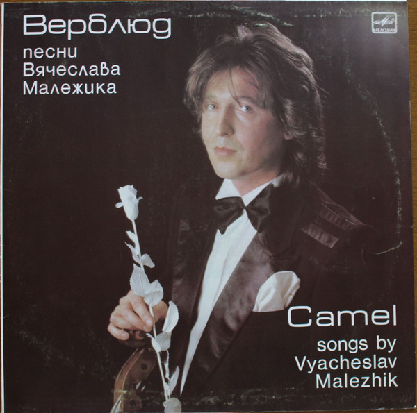 Вячеслав Малежик - Верблюд
